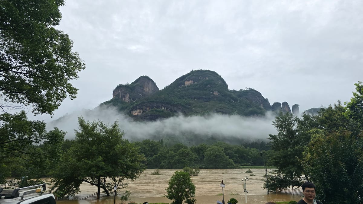 I Barely Wuyi (武夷) - Tea Technique Research Trip 2024